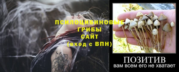 дурь Балахна