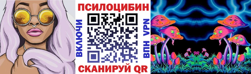 shop какой сайт  Реутов  Псилоцибиновые грибы Psilocybine cubensis  закладка 